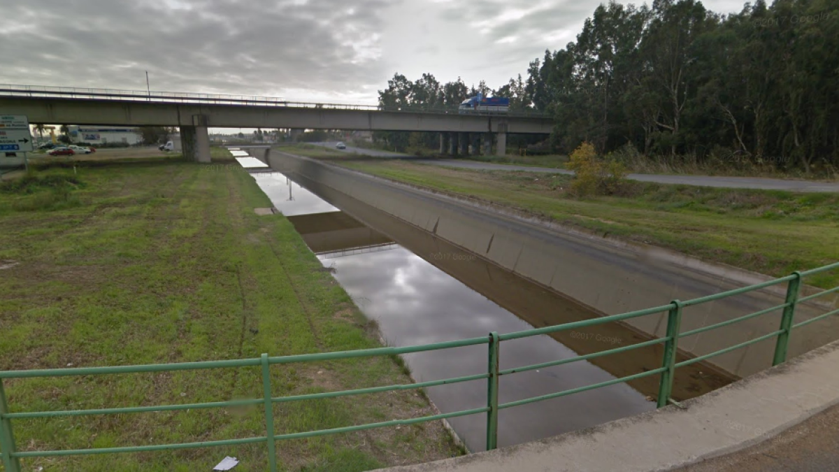 Rescaten un senglar del Canal de l'Ebre