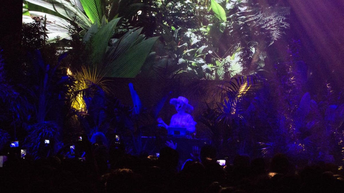 Björk cuelga en Twitter la canción 'Declare Independence' y la dedica a Cataluña