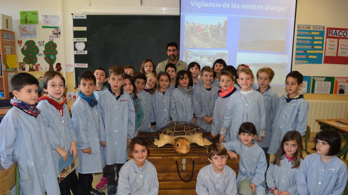 «La playa es un espacio de ocio, pero también un espacio natural donde hay tortugas»