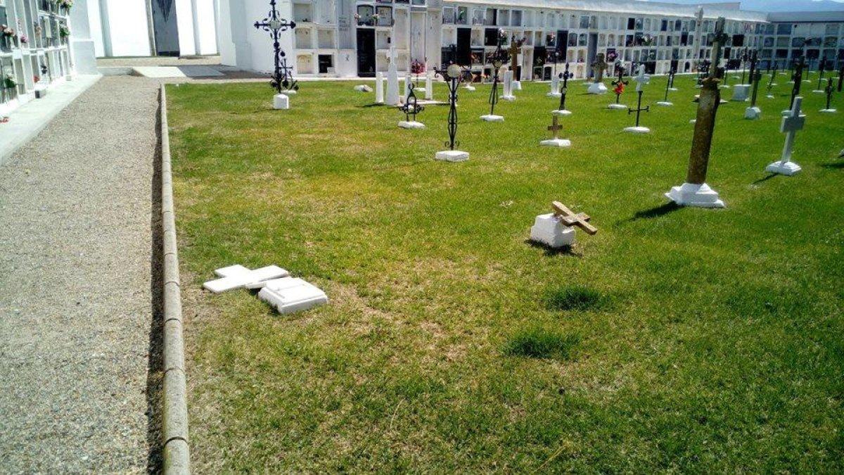 Profanen tres tombes del cementiri de Móra la Nova