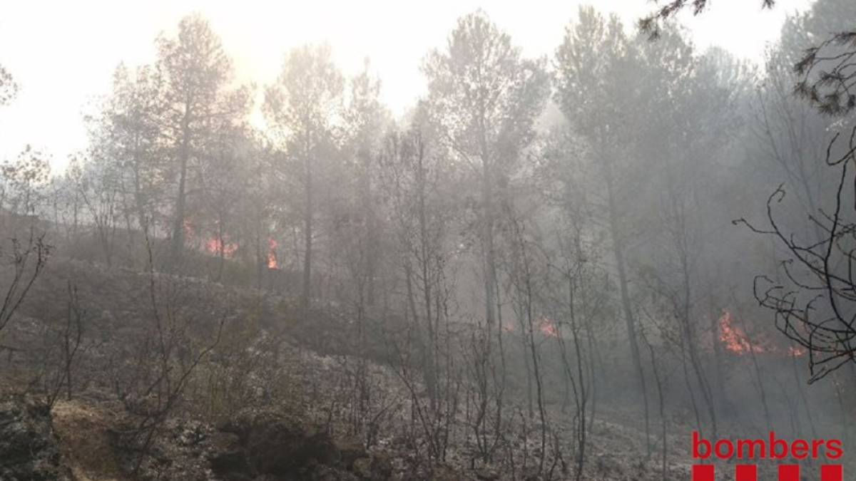 Un incendi al Priorat mobilitza més d'una dotzena de dotacions de Bombers