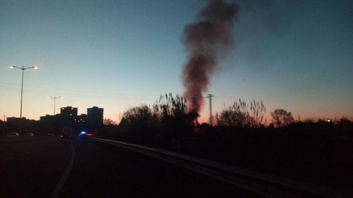 L'incendi d'un canyar provoca una gran columna de fum negre a Tarragona