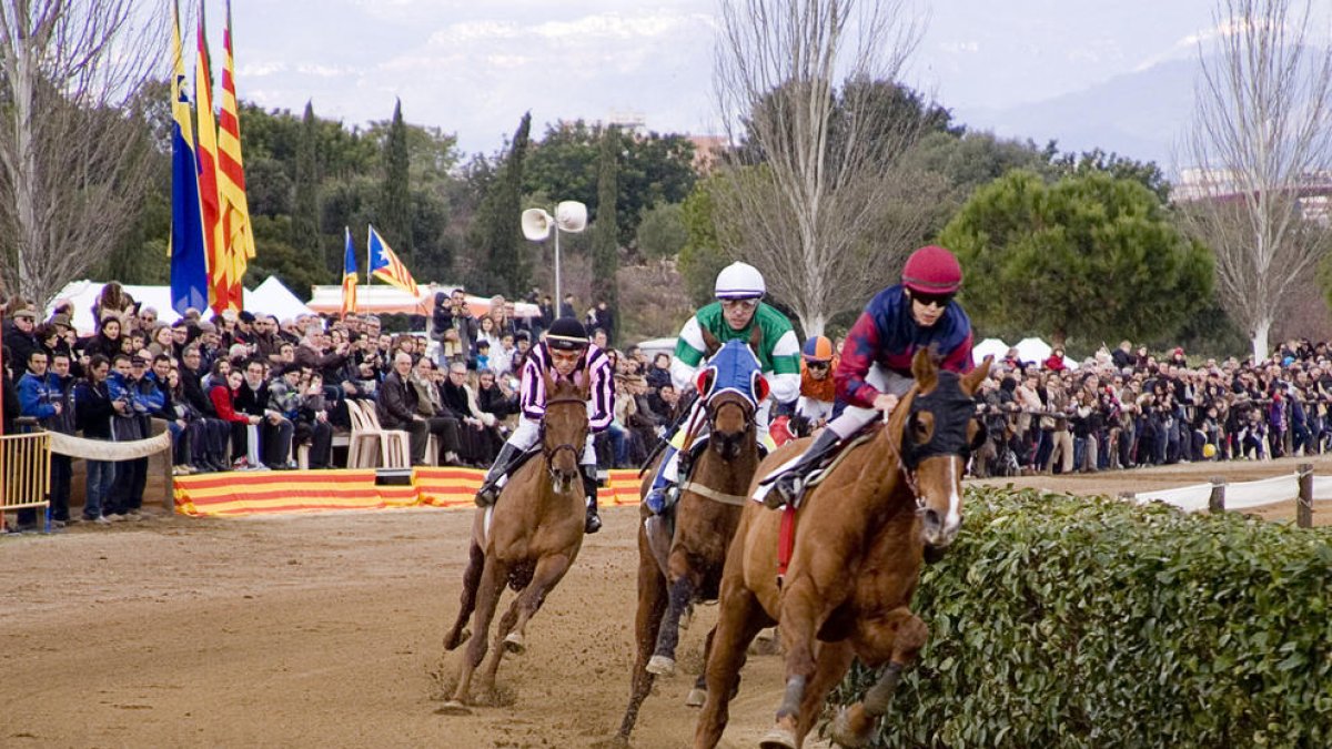 Las carreras de caballos y los conciertos, platos fuertes de las fiestas de Sant Antoni