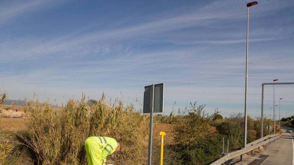 L'accés de la T-11 per Bellissens torna a tenir llum a la rotonda i la carretera