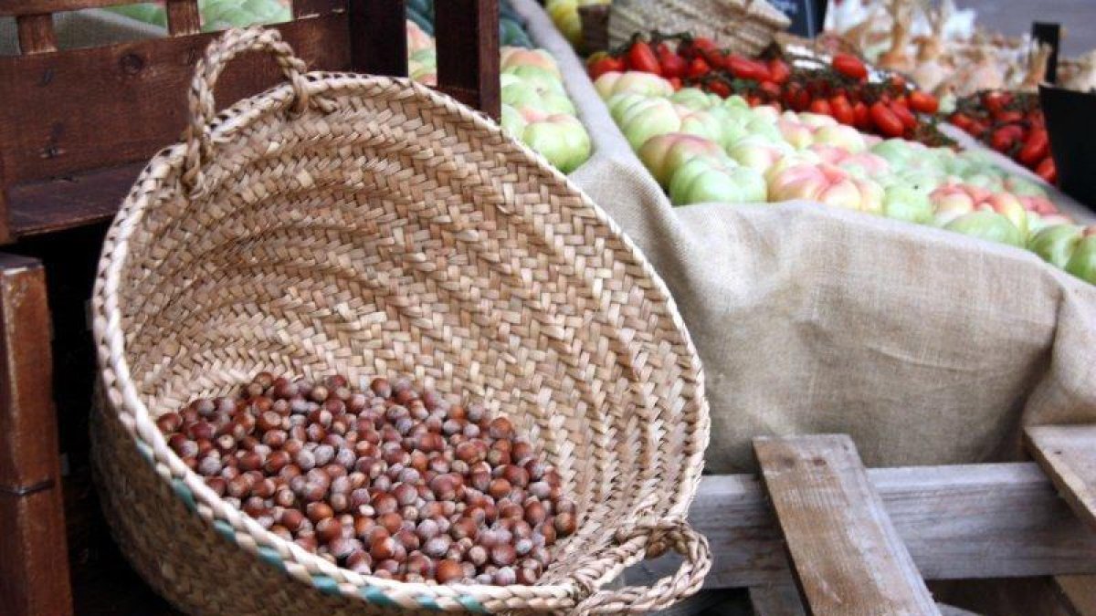 Nace una cátedra para tratar los beneficios de la fruta seca