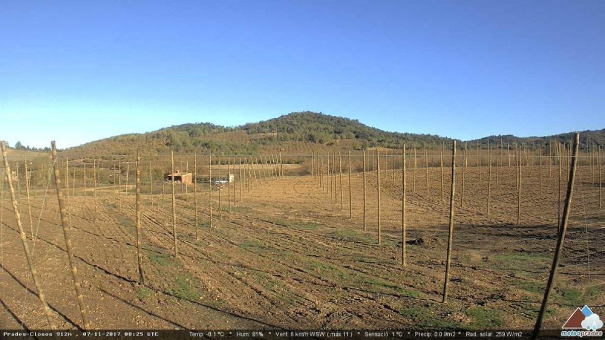 Caiguda de les temperatures sota zero a l'interior de Tarragona