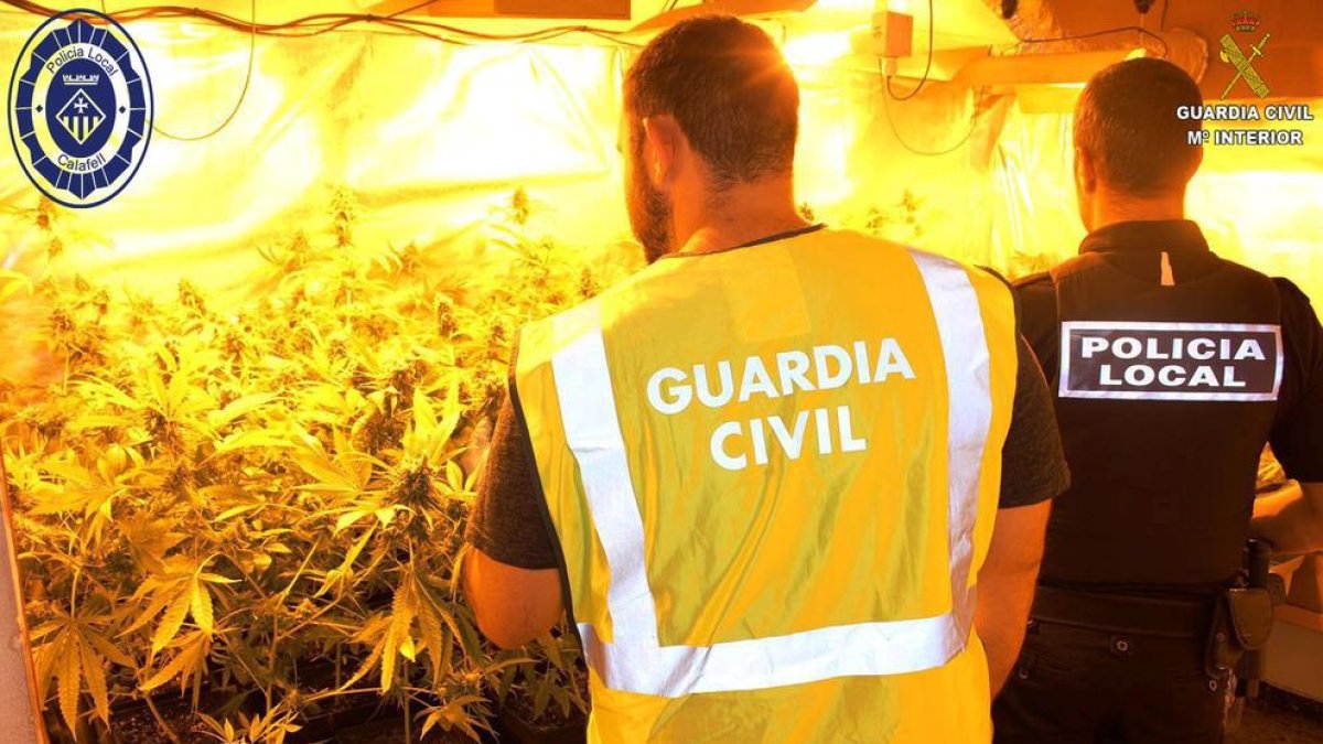 Localizan en Calafell un chalet que servía para cultivar marihuana