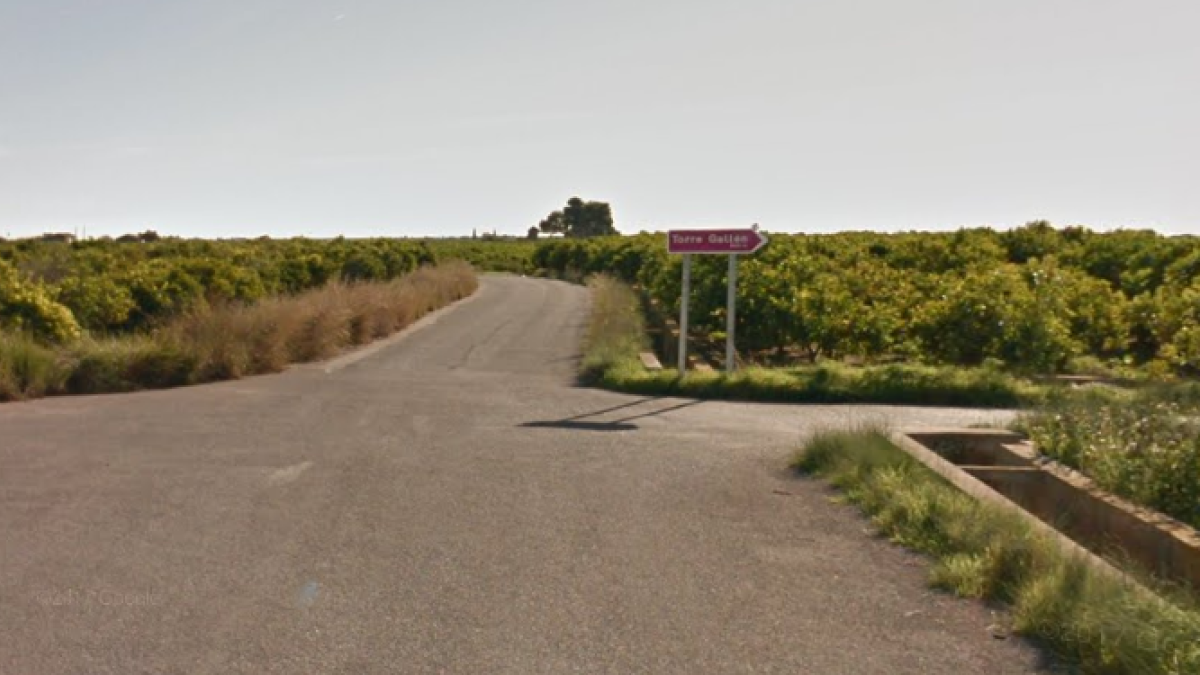 Muere un hombre por picaduras de avispa mientras limpiaba unas acequias