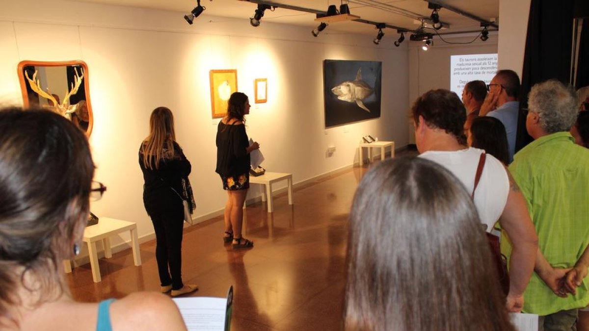 Exposició i cicle vital d'activitats al voltant de l'esclavatge animal a l'Espai Jove Kesse