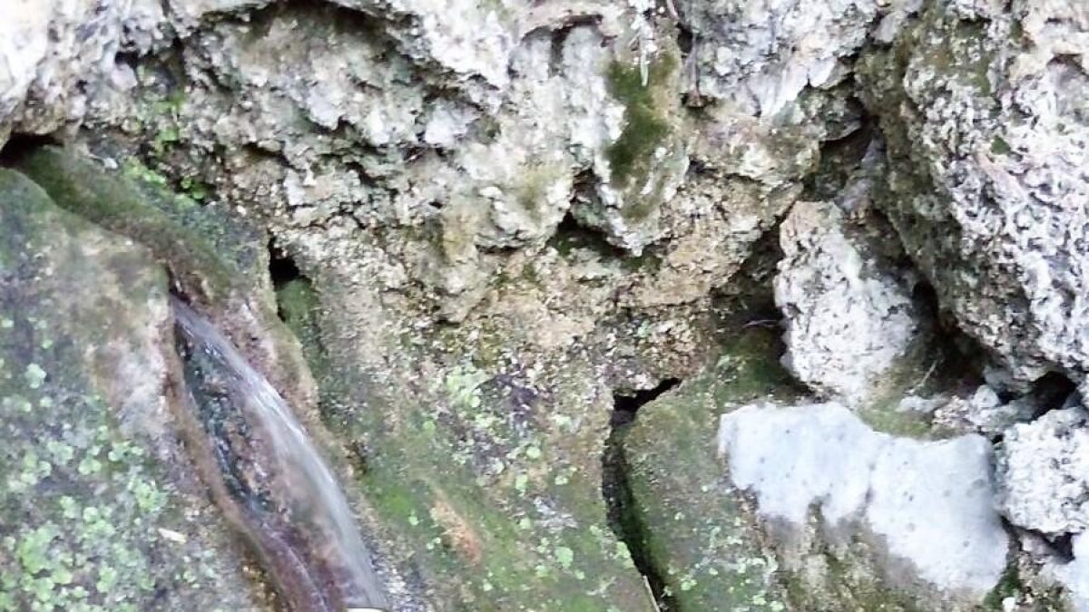 L'aigua de Prades serveix per crear una nova cervesa artesana a Vimbodí i Poblet