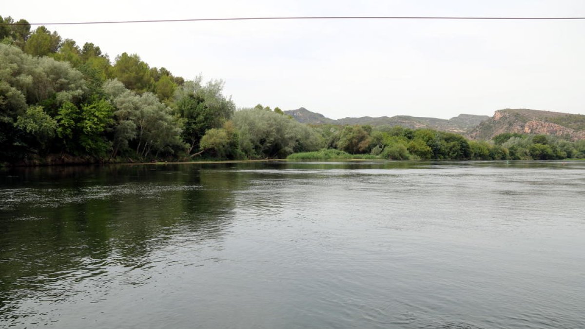 Es liciten les obres de millora mediambiental a la badia dels Alfacs
