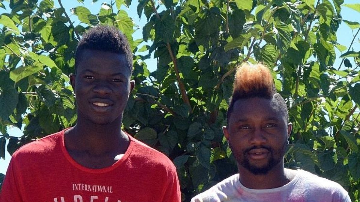 Madinda i Djetei inicien la Copa d'Àfrica