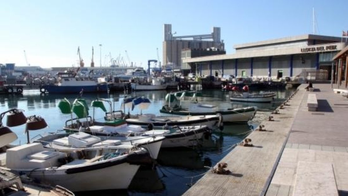 La Confraria de Pescadors de Tarragona vol replantejar el contracte amb Pescanova
