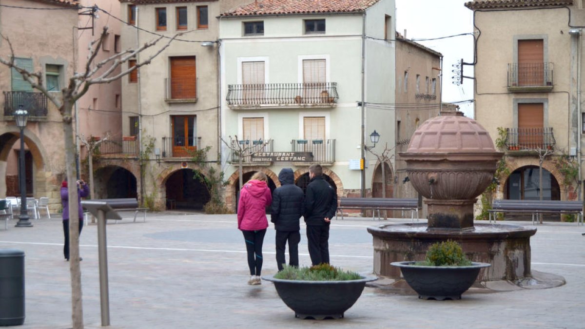 El Consorci Leader de Desenvolupament Rural del Camp rep 89 projectes d'inversió de municipis de la província
