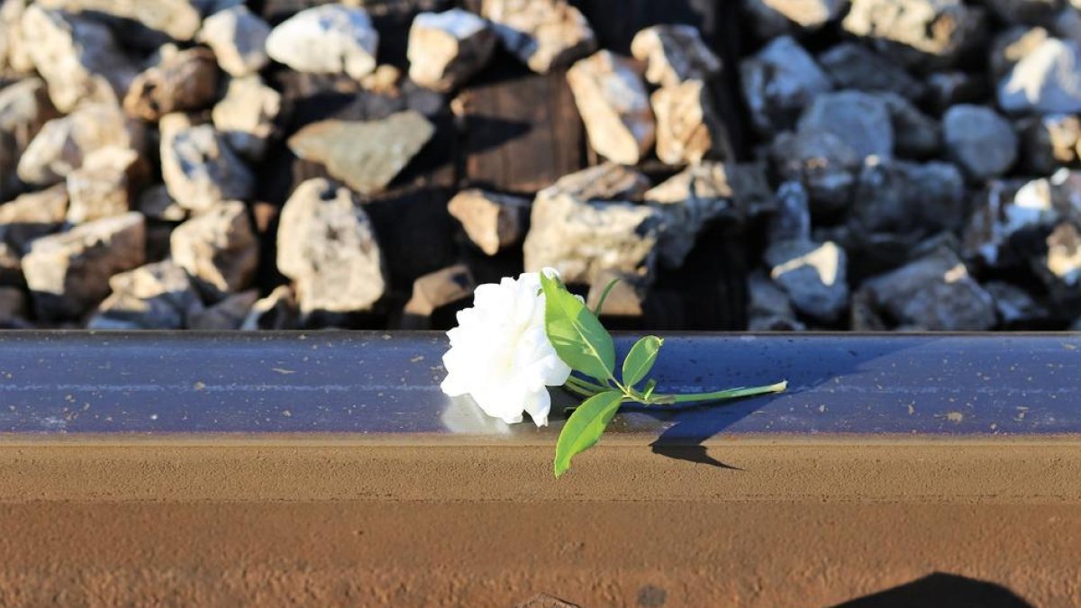 «Sabemos como prevenir el suicidio, pero no lo hacemos»