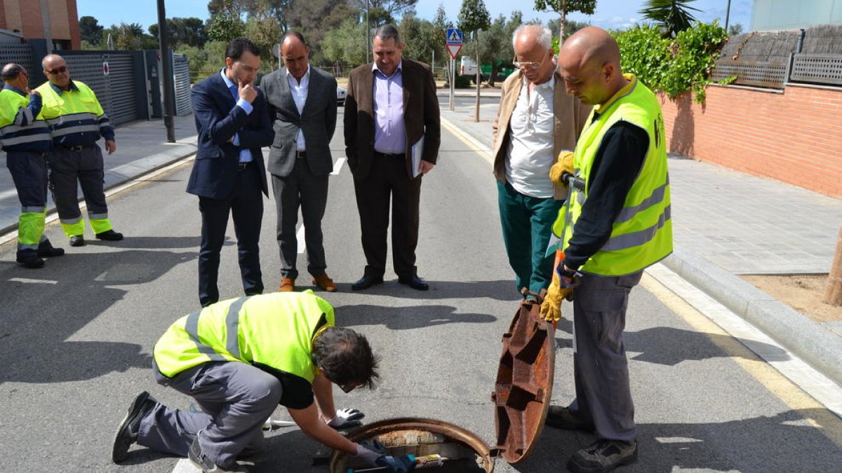 Reus aconsegueix reduir a gairebé la meitat els brots de paneroles