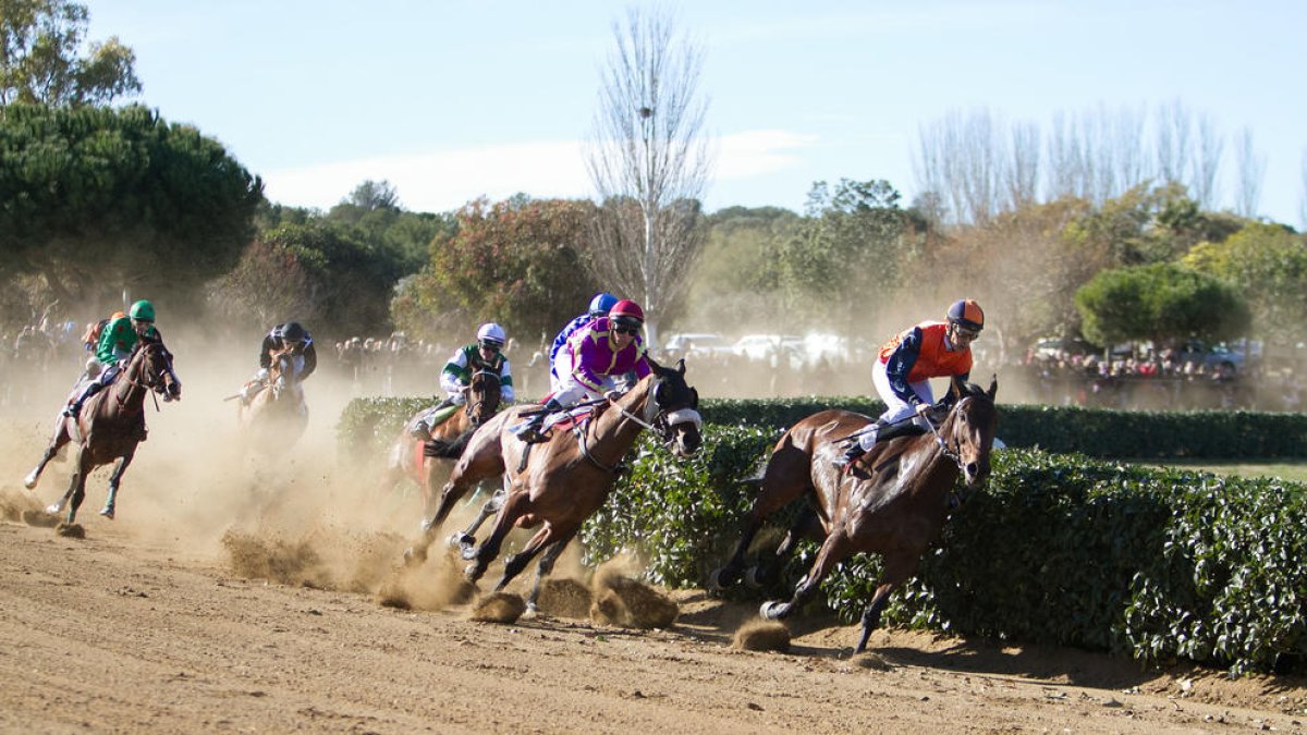 Las carreras de caballos, protagonistas en Vila-seca