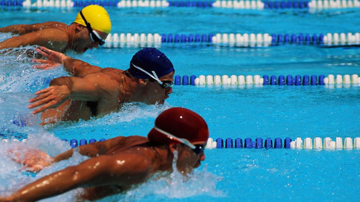 El CN Reus Ploms i l'Elenc Artístic Arbocenc rebran la Creu de Sant Jordi aquest 2017