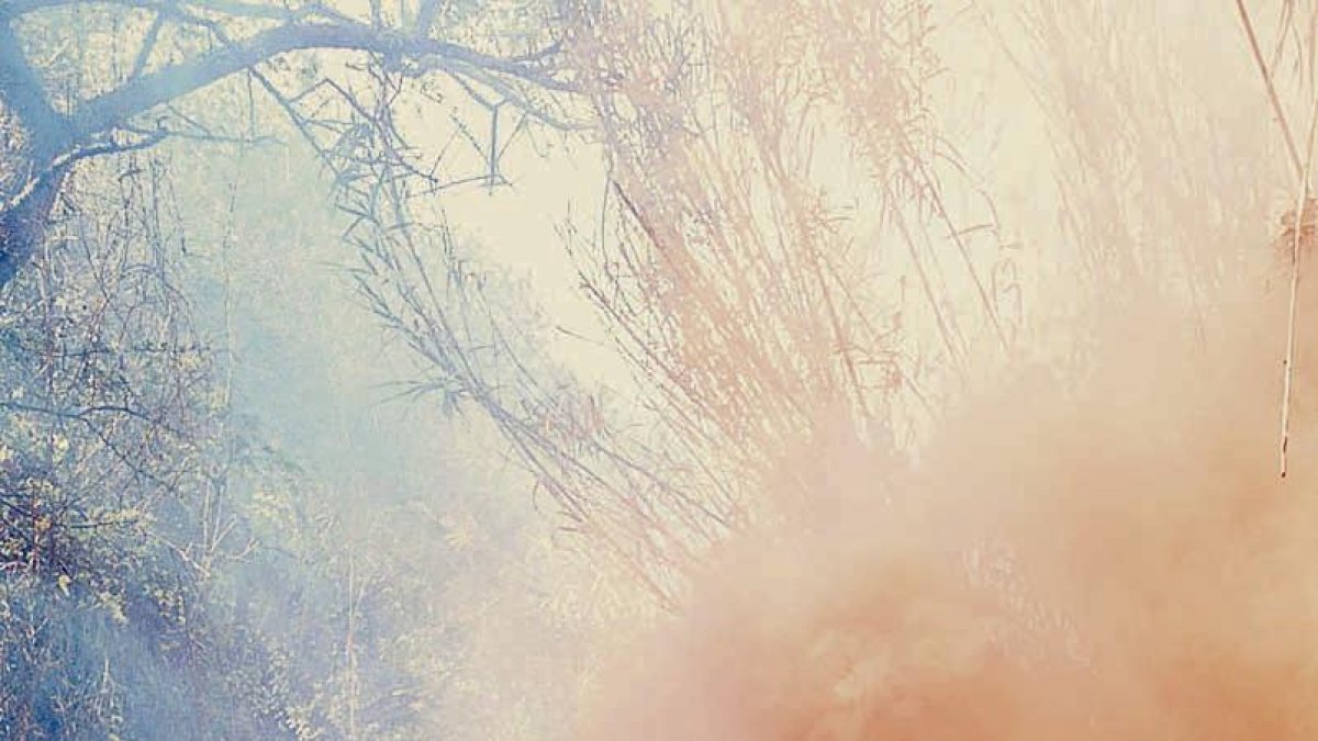 Barraques porten els directes de Roba Estesa i Extracto de Lúpulo