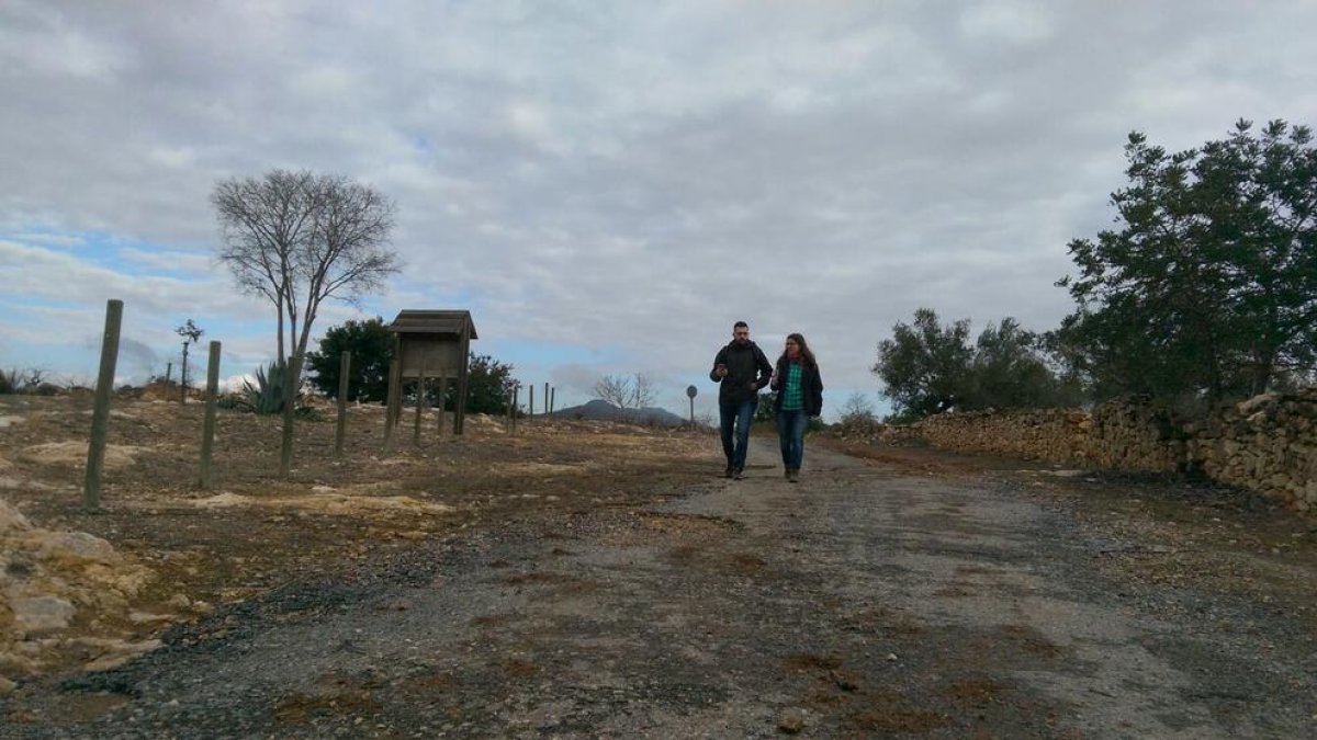 Se buscan cazadores de botellas de vino