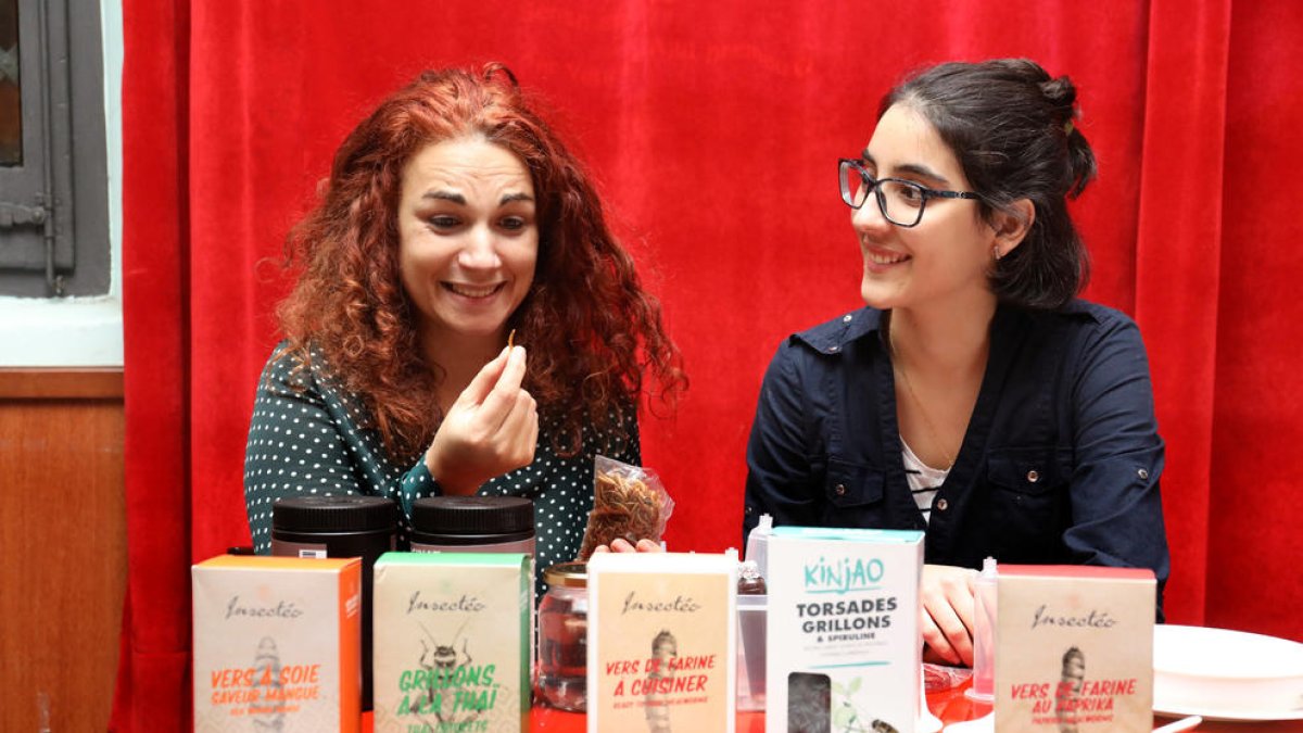 «De un grillo aprovechamos el 80%, mientras que de una ternera sólo el 40%»