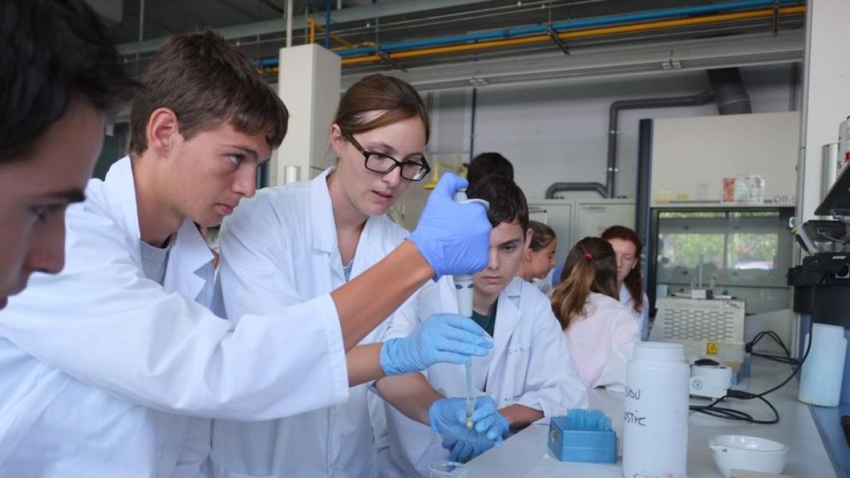 Bioquímica i biotecnologia és la carrera que té l'accés més 'car' a la URV