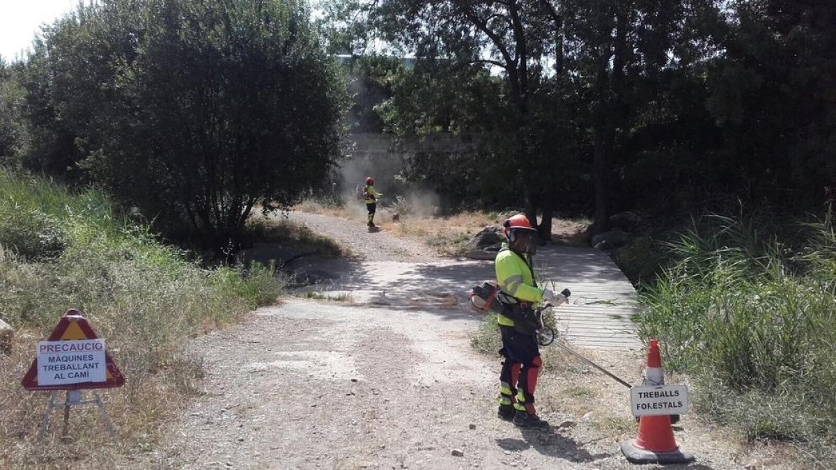 Una vintena de treballadors netegen camins i senders del Camp de Tarragona