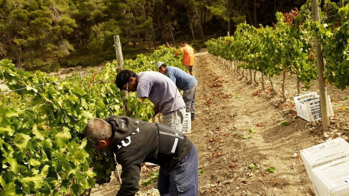 L'Obra Social 'La Caixa' aporta prop de 40.000 euros per un projecte social a Tarragona