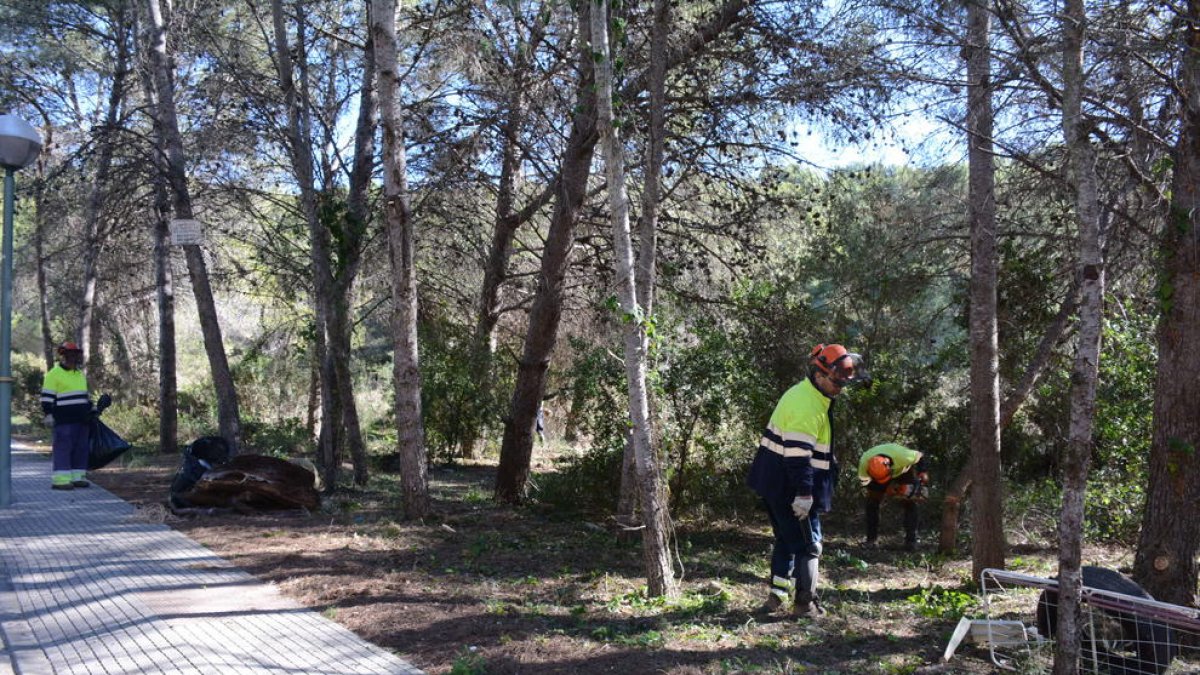 Empiezan el trabajos de la franja de protección de incendios en una finca municipal de la Mora