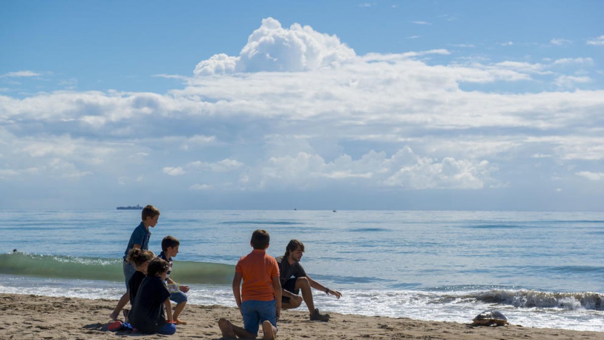 Cuatro tortugas rescatadas en el Delta y en Tarragona vuelven al mar recuperadas