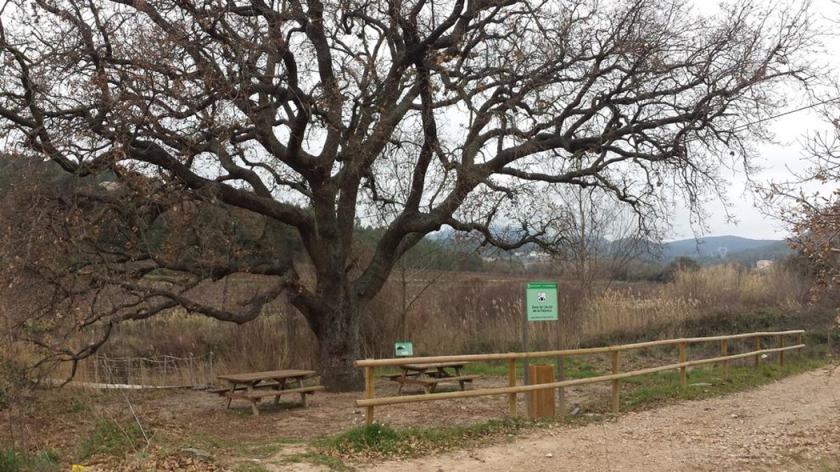 Es repara l'àrea de lleure de la Palanca del Pla de Manlleu