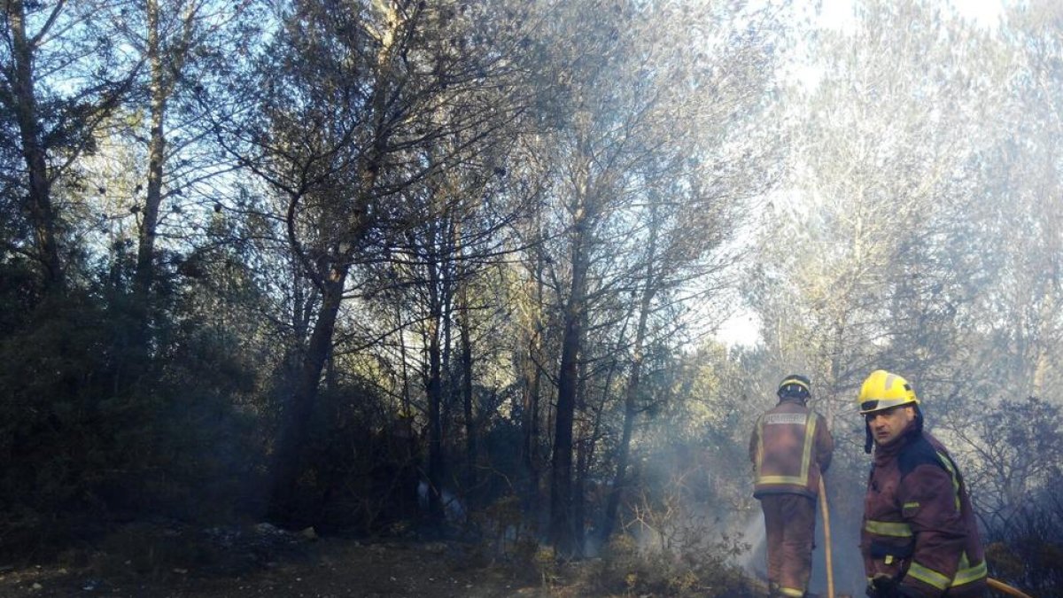 Un pequeño incendio afecta a una zona de pinos a Sant Pere i Sant Pau