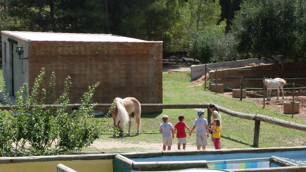 La Granja-Escuela Corral de Neri organiza por 4º año consecutivo una jornada contra el cáncer