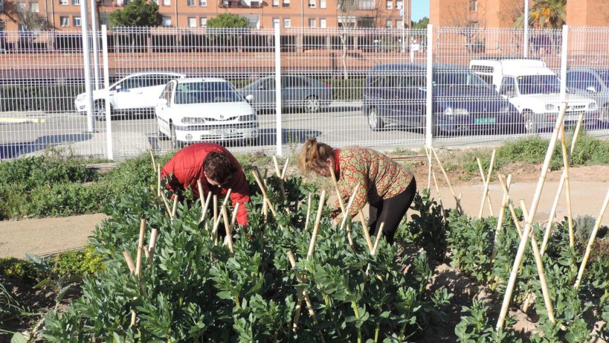Onada estrena un comedor social y promueve huertos en el Espacio de Encuentro