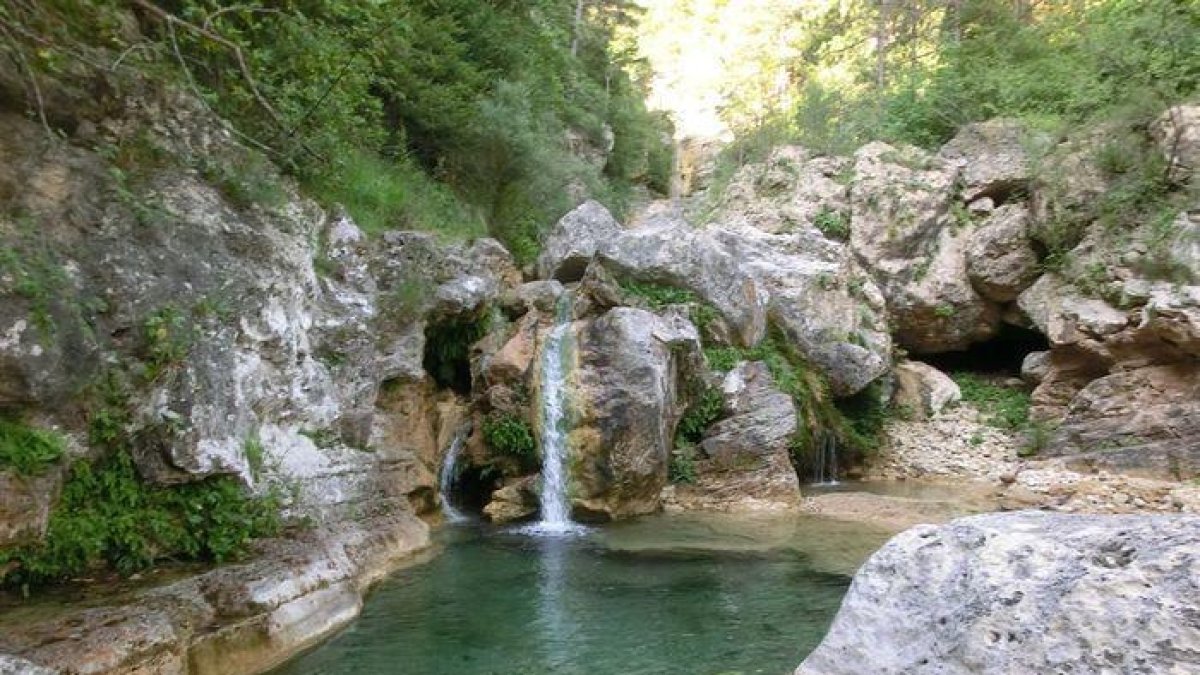 Rescaten una excursionista accidentada a la Febró
