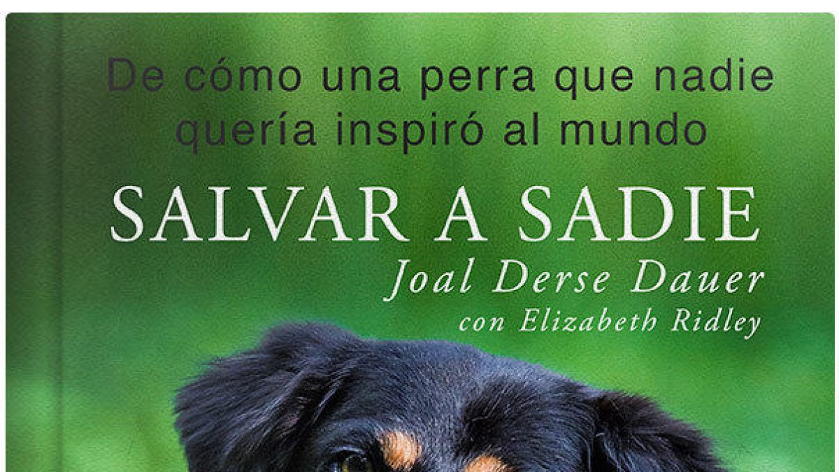 La historia de cómo una perra que nadie quería inspiró el mundo