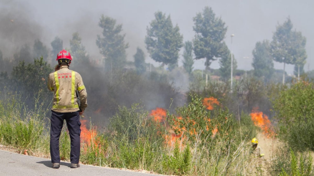 Un pequeño ineni quema matorrales cerca del Viena del Tecnoparque de Reus