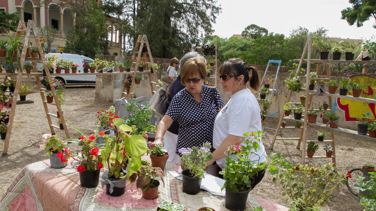 La Festa de les Flors instal·larà un piano obert a qui vulgui tocar