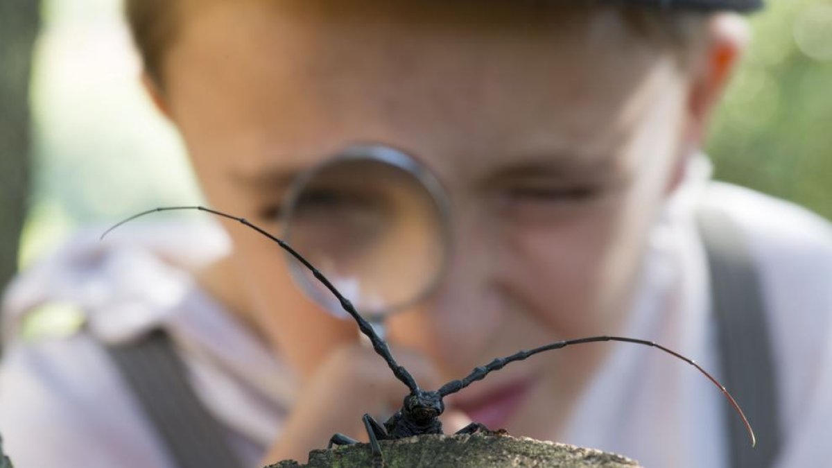 Punset protagoniza un documental tarraconense rodado en el Montsant sobre la diversidad biológica