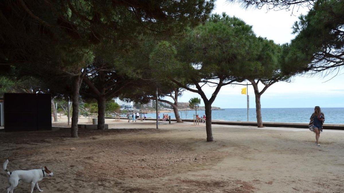 Salou hará un estudio para saber si hay más agujeros desconocidos a la larga