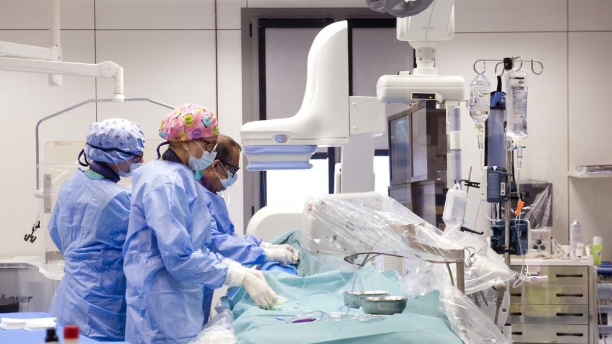 La manca de pressupost compromet la col·locació de vàlvules a Hemodinàmica