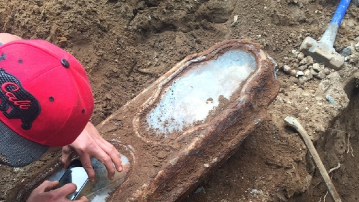 Revelen la identitat de la misteriosa nena sense identificar batejada com a Miranda Eve