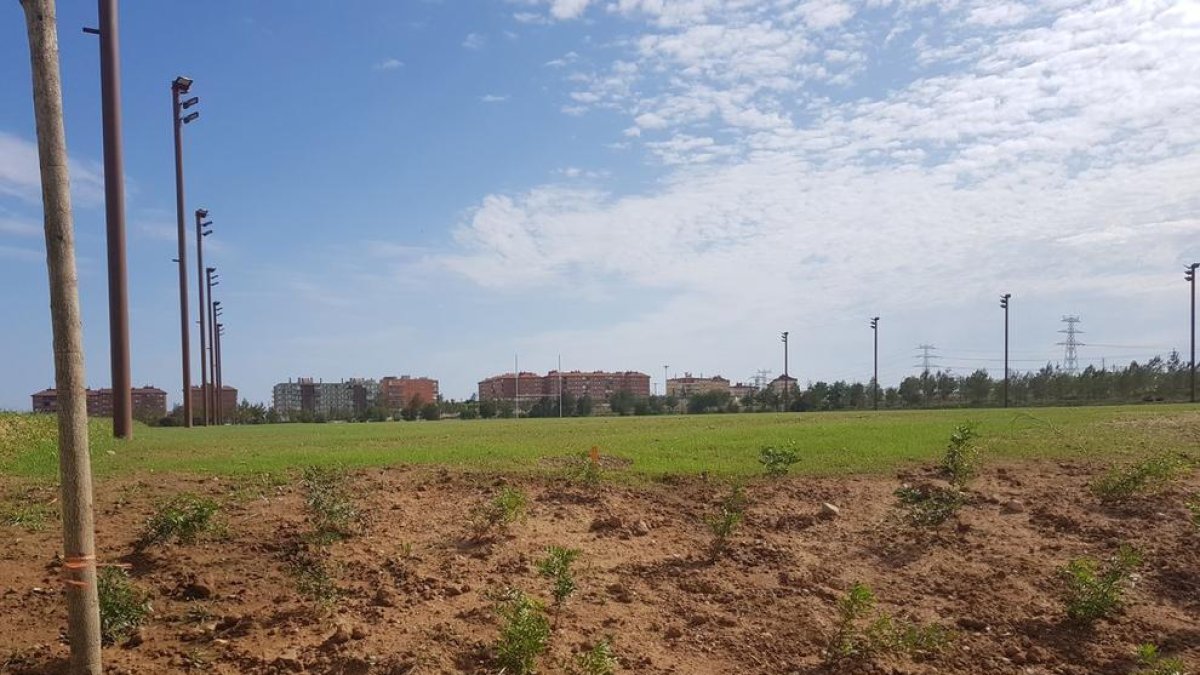 El Club Rugby Tarragona no podrá utilizar las instalaciones pactadas de la Anilla Mediterránea