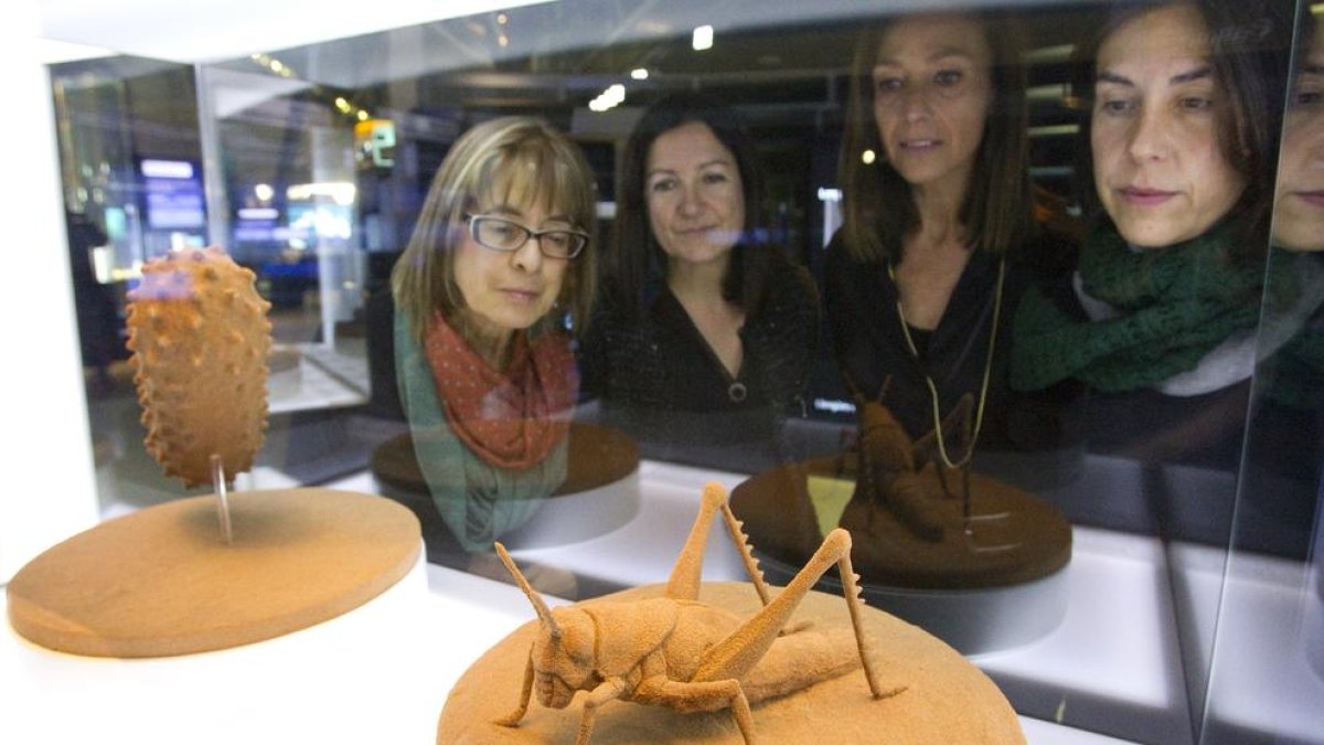 Sorolla i el Mediterrani, protagonistes al CaixaForum Tarragona 2016-2017