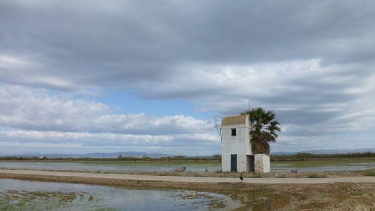 Cultura protege 12 coeteres de varios municipios del Delta del Ebro