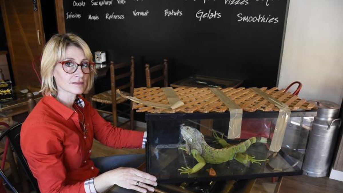 Rescatan una iguana viva del interior de un contenedor de Lérida