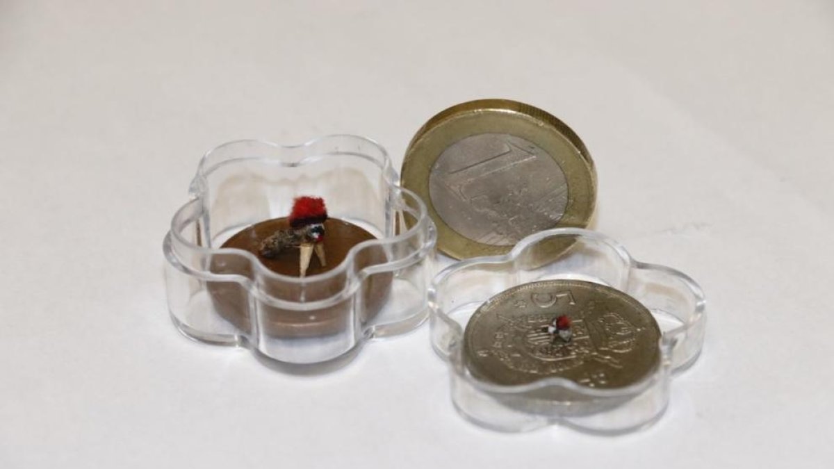 Un tió fet per un veí de Vallmoll pot ser el més petit del món