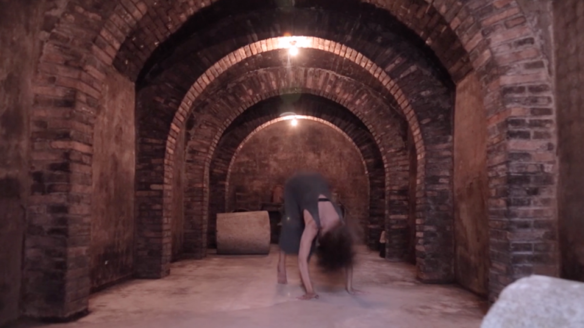 Videodansa en Sarral