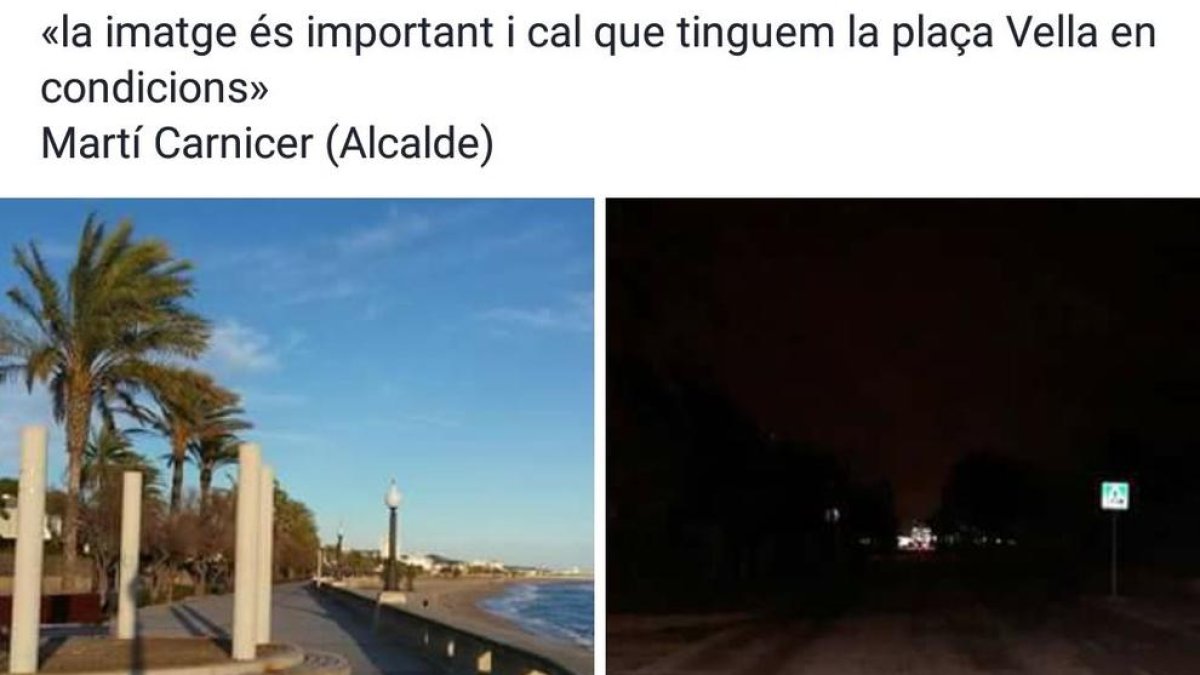 Coma-ruga y la tala de árboles