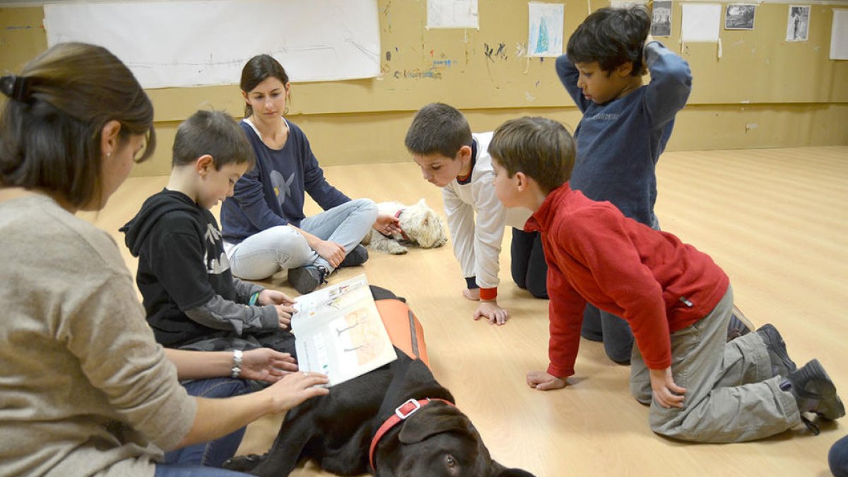 Amb el Lolo i la Mel, llegir és més fàcil